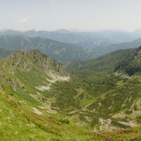 das Hühnerkar
