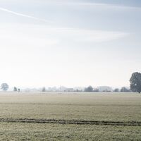 Winterlicher Dunst über den Feldern