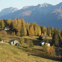 Blick auf die Mooswiesen, im Hintergrund Jauken und Reißkofel.
