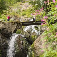 Beim Todtnauer Wasserfall