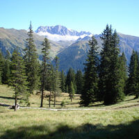 Hochmoorwanderung St. Antönien Grossried