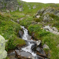 der Abstieg erfolgt neben dem Bach