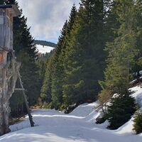 1.6 km Knorriger Hochstand mit Blick auf den Ofnerkogel zurück