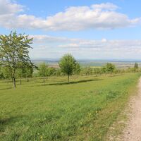 Witterda - "Arme Jacke"