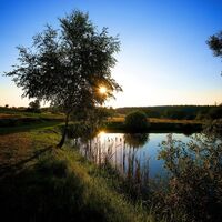 Teich bei Litschau