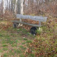 Bankerl auf der Hetzerhöhe