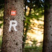 DR WALD meets Rennsteig
