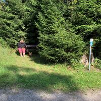 Versteckte Bank am Wegesrand