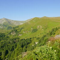 der weitere Wegverlauf