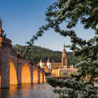 Alte Brücke Heidelberg