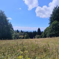 Ausblick von der Diensthütte in Richtung Grandsberg /