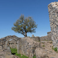 Ruine-Löwenburg