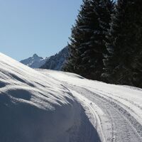 Winterwandern