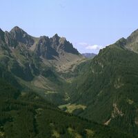 Cauriol und Cardinal