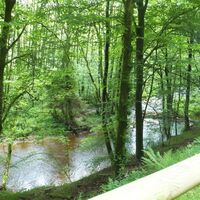 Blick vom Radweg aus auf die Ruwer