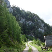 der lange Aufstieg über die Forststaße