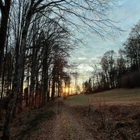 Wieder auf Weg Nr. 54 zur Kapelle Rastbuche