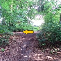 Salzgitter-Gebhardshagen, Wanderweg 22 Verlauf nach Abzweig vom Baumlehrpfad