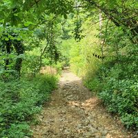 10.4 km steiniger Weg