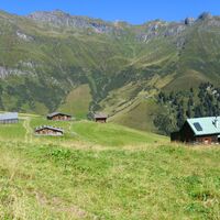 Die Gedauner Hochalmen