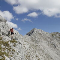 wir kommen dem Gipfel des Treffauer immer näher