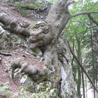 1. Wiener Wasserleitungsweg