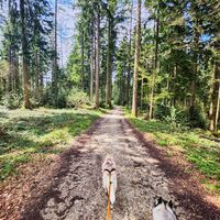 Wanderung Oberwarngau Taubenberg