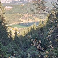 Rückweg zum Haldensee