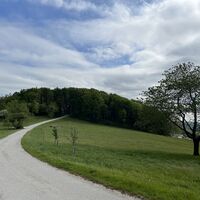 Und hier vor dem bewaldeten Kogel dann links weiter
