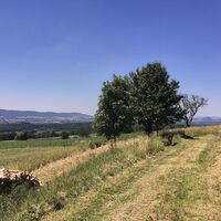 Aussicht am Mühlsberg