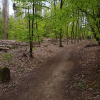 Landschaft