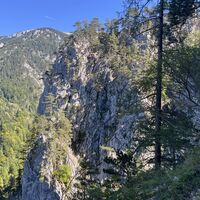 Wachthüttelkamm