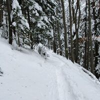 7.1 km Pfad am Berghang