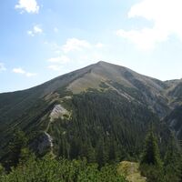 Hinternaßwald - Grenzriegel - Amaißbichl