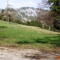 Blick zur Felswand "Öhler"