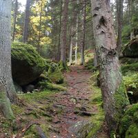 Lohnbachfallweg