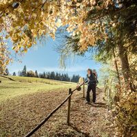 baumhoroskopweg - familienwanderung_img_58021505
