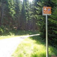 Route 59 - Wexl Trails