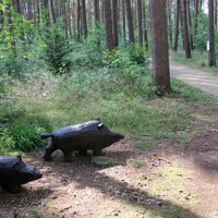 Holztiere am Rollstuhlwanderweg