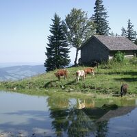 Pillstein Panorama Rundweg