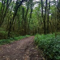 Weg zum See von Chailloux