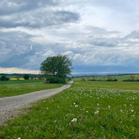 Blick Behrunger Wald Richtung Bayerische Rhön