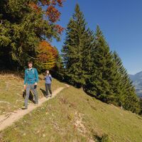 Im Herbst auf dem Premium-Wanderweg