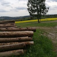 Von Ziegenrück zur Fernsicht