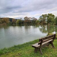 Steirerteich in Kaindorf im Hartbergerland in der Oststeiermark