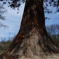 Hütteldorf - Lainzer Tiergarten - Liesing