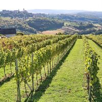 Wir wandern am Höhenrücken entlang - Blick auf St.Anna