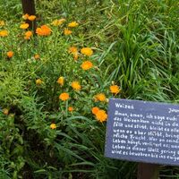 Bibelgarten in Lenne