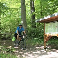 Am Infopunkt Walderlebnispfad Eidechsengrund