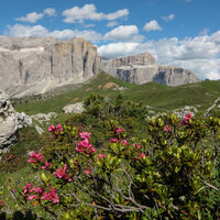 Sellaronda - ©Archivio APT Val di Fassa